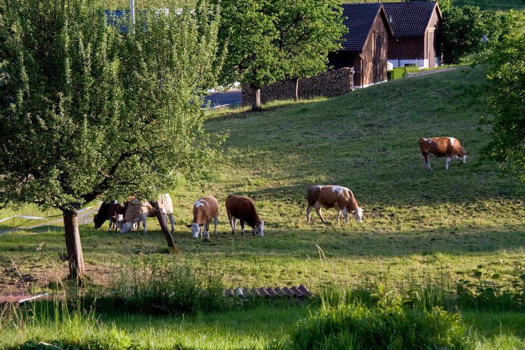 Seehotel Boutique Jaegerhof-Hubertus Faulensee Exteriör bild