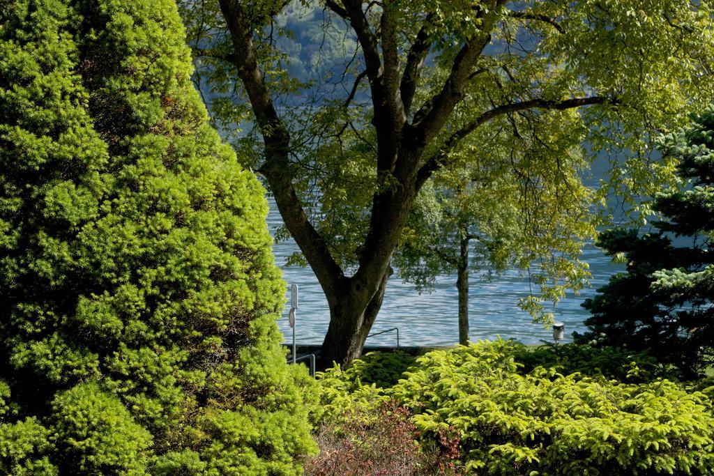 Seehotel Boutique Jaegerhof-Hubertus Faulensee Exteriör bild