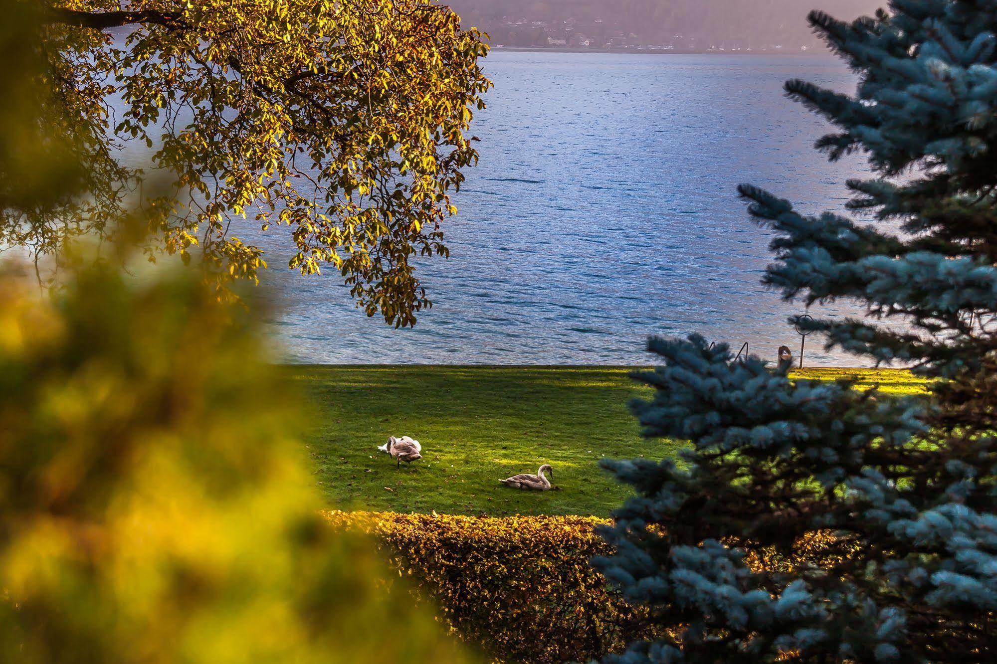 Seehotel Boutique Jaegerhof-Hubertus Faulensee Exteriör bild